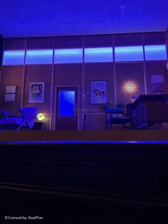 Apollo Theatre Stalls A8 view from seat photo