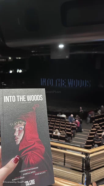 Bridge Theatre Gallery 1 C30 view from seat photo