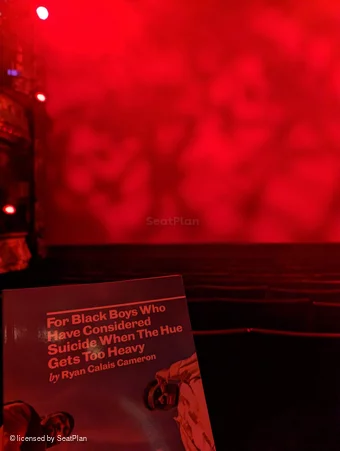 Apollo Theatre Stalls K14 view from seat photo