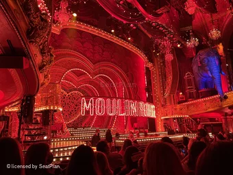 Al Hirschfeld Theatre Orchestra L17 view from seat photo