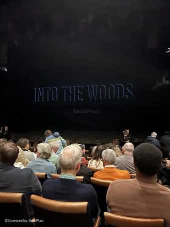 Bridge Theatre Stalls J10 view from seat photo