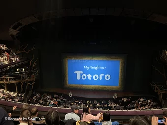 Gillian Lynne Theatre Circle E42 view from seat photo