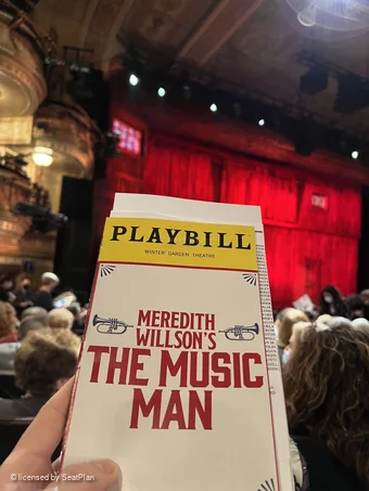 Winter Garden Theatre Orchestra N17 view from seat photo