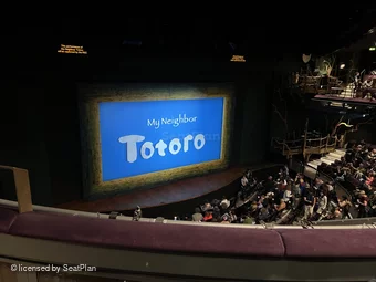 Gillian Lynne Theatre Circle B61 view from seat photo