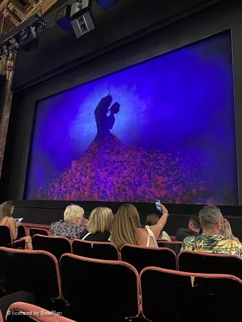 London Palladium Stalls F9 view from seat photo