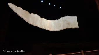 Bristol Hippodrome Stalls B25 view from seat photo