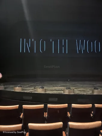 Bridge Theatre Stalls D20 view from seat photo