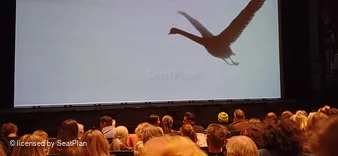 Sadler's Wells Stalls E27 view from seat photo