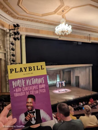 Music Box Theatre Mezzanine D17 view from seat photo