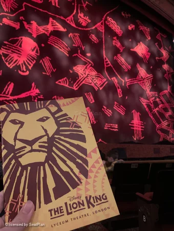 Lyceum Theatre Stalls D28 view from seat photo