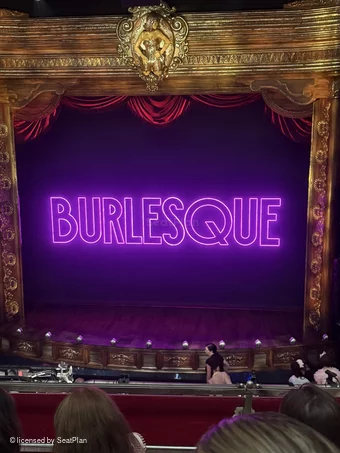 Savoy Theatre Dress Circle C12 view from seat photo