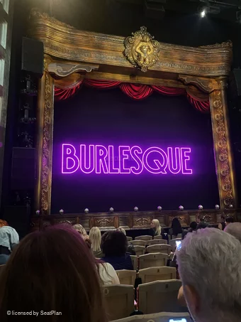 Savoy Theatre Stalls H21 view from seat photo