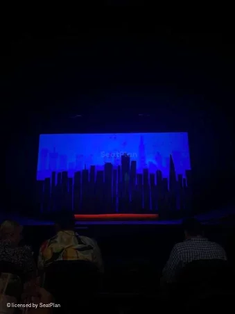 Hayes Theater Orchestra D105 view from seat photo