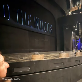 Bridge Theatre Stalls A25 view from seat photo