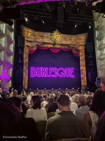 Savoy Theatre Stalls L21 view from seat photo