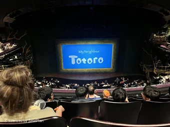 Gillian Lynne Theatre Circle F46 view from seat photo