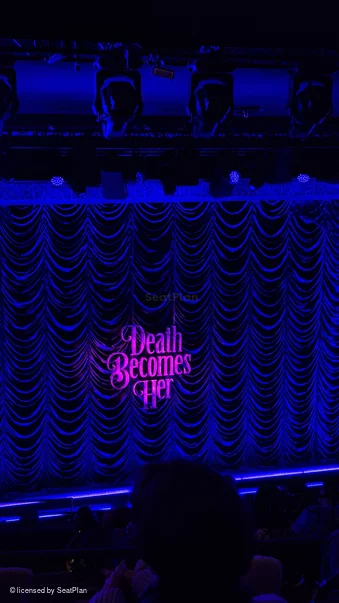 Lunt-Fontanne Theatre Rear Mezzanine D115 view from seat photo