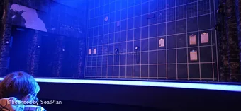 Golden Theatre Orchestra B102 view from seat photo