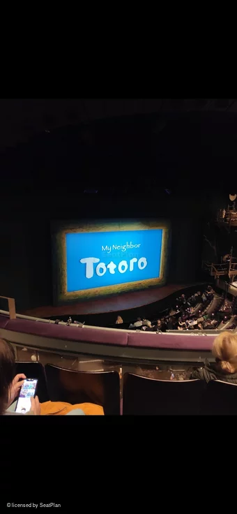 Gillian Lynne Theatre Circle C61 view from seat photo