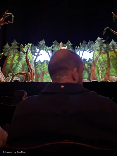 Lyric Theatre Stalls E11 view from seat photo