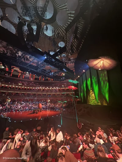 Royal Albert Hall Stalls M 10 144 view from seat photo