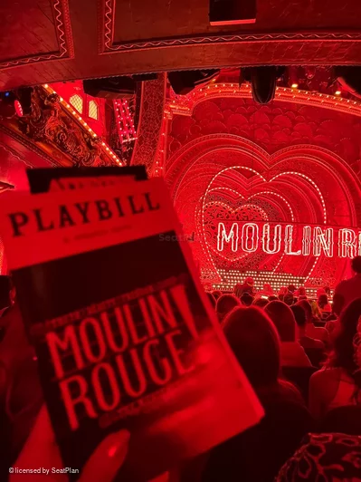 Al Hirschfeld Theatre Orchestra O9 view from seat photo