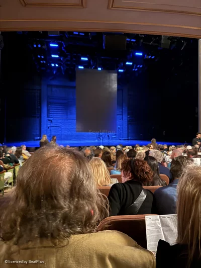 Music Box Theatre Orchestra N114 view from seat photo