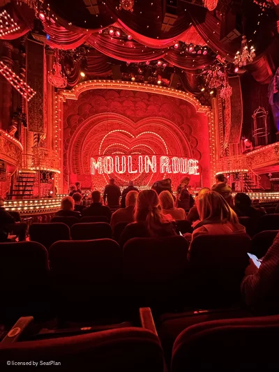 Al Hirschfeld Theatre Orchestra L114 view from seat photo