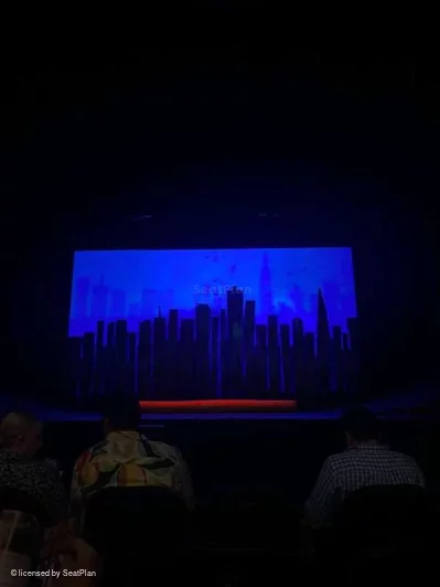 Hayes Theater Orchestra D105 view from seat photo