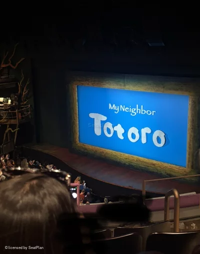 Gillian Lynne Theatre Circle D24 view from seat photo