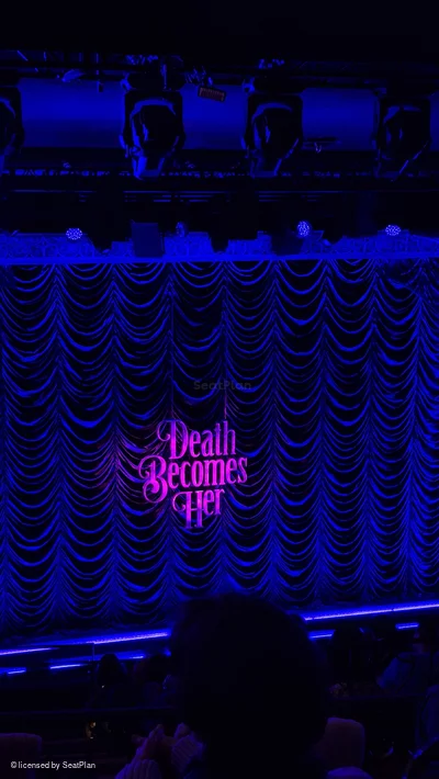 Lunt-Fontanne Theatre Rear Mezzanine D115 view from seat photo